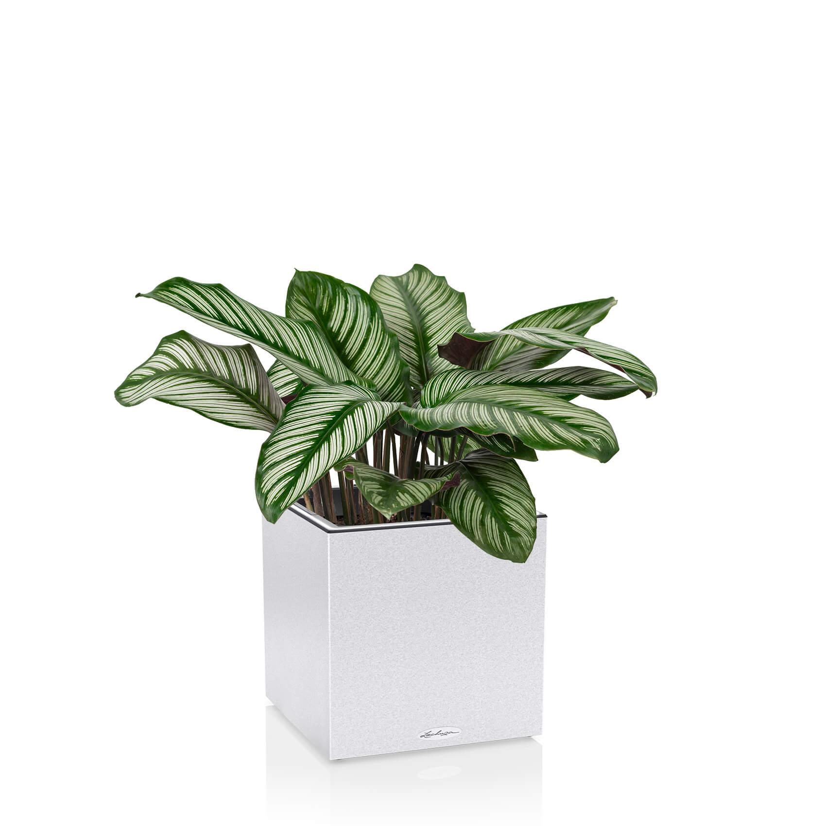 CANTO Stone 40 low LED quartz white